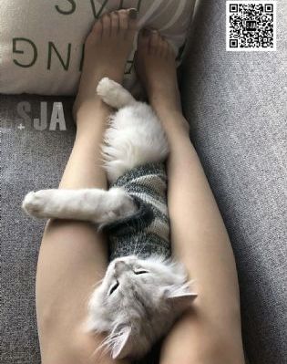 唐朝奸妃_BD国语全集免费观看
